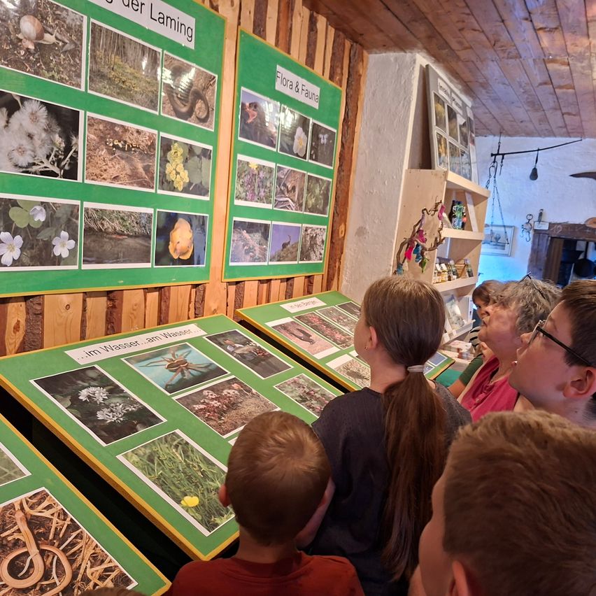 Eine Gruppe von Kindern und Erwachsenen versammelt sich um eine Tafel mit Bildern von Pflanzen und Tieren. Die Tafel ist mit 'Flora & Fauna' beschriftet und hat einen grünen Hintergrund.