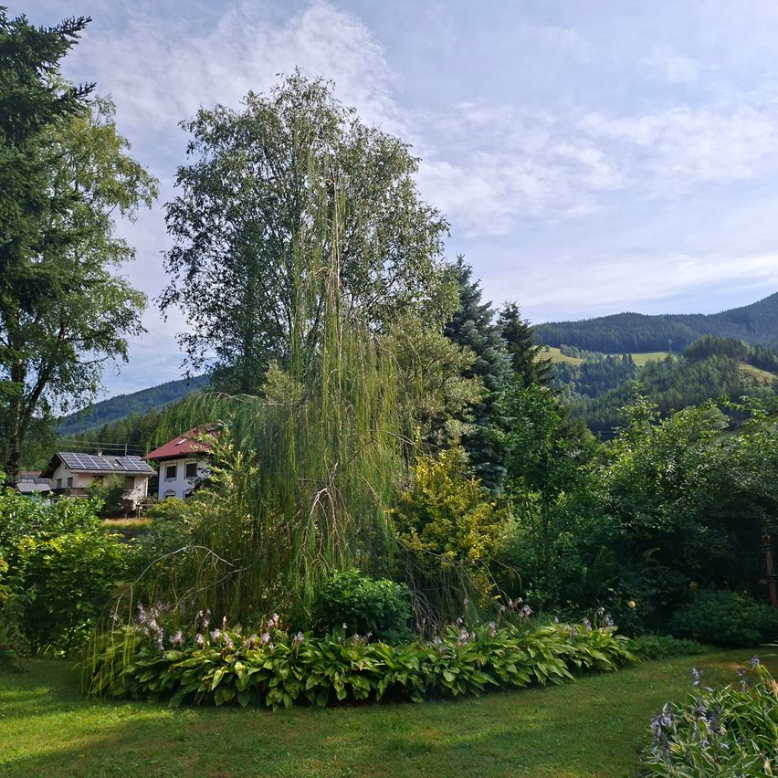 A serene garden with a weeping willow and vibrant flowers, set against a backdrop of mountains and a house with solar panels.