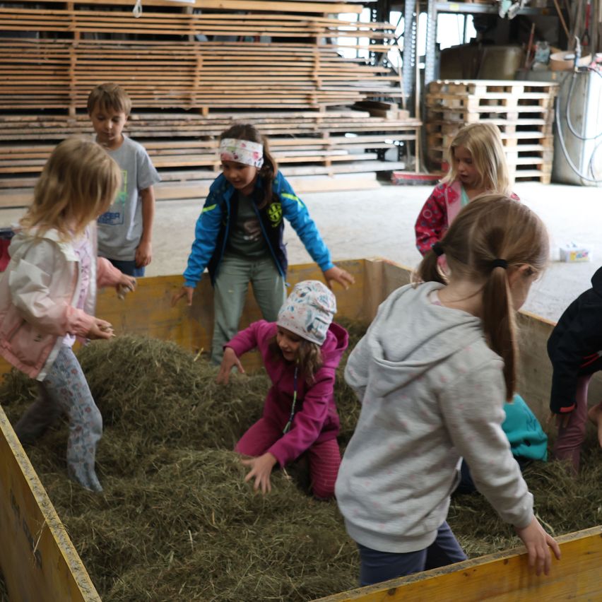 Eine Gruppe von Kindern spielt in einem gelben Container voller Heu, während andere stehen und zuschauen. Hinter ihnen sind Holzpaletten gestapelt.