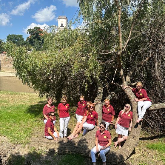 Bild enthält, Grass, Park, Tree, Vegetation, Grove, Woodland, Photography, Portrait, People, Pants