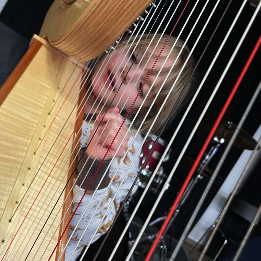 Bild enthält, Musical Instrument, Person, Harp, Face, Head, Photography, Portrait