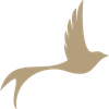 Ein hellbrauner Vogel ist im Flug auf schwarzem Hintergrund dargestellt, seine Flügel und Schwanzfedern ausgebreitet.