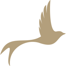 Ein hellbrauner Vogel ist im Flug auf schwarzem Hintergrund dargestellt, seine Flügel und Schwanzfedern ausgebreitet.