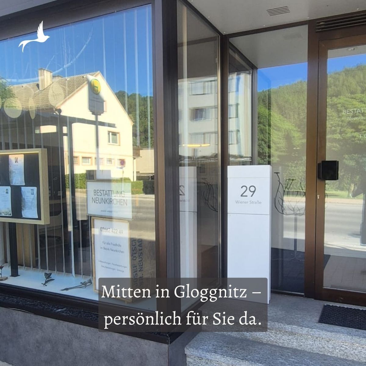 A storefront with a glass door, display case, and sign reading Mitter in Gloggnitz. Behind the glass, reflections of houses, trees, and a bird. The door has a black mat.
