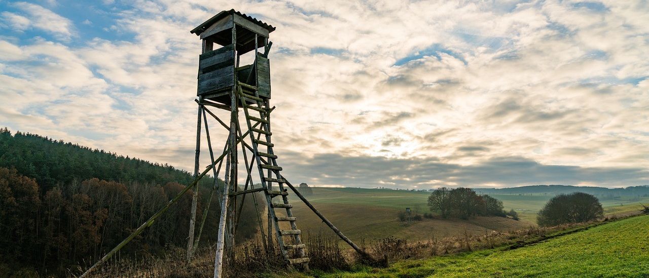 Ein hölzerner Wachturm steht auf einem grasbewachsenen Hügel, mit einer Leiter, die nach oben führt. Der Himmel ist bewölkt mit einem Hauch von Sonnenlicht. Die Landschaft zeigt sanfte Felder und entfernte Bäume.