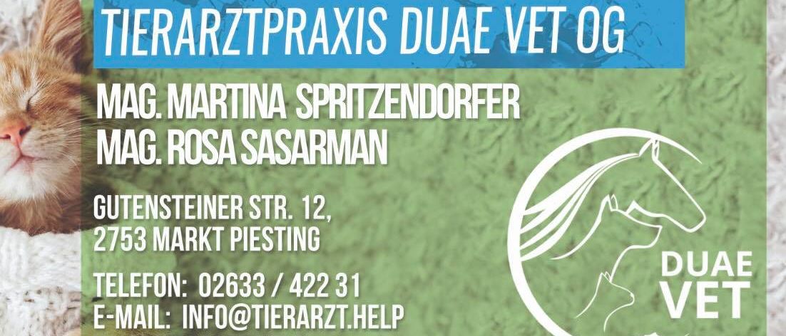 Bild enthält, Advertisement, Poster, Paper, Text, Animal, Cat, Mammal, Pet