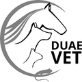 Animal, Mammal, Stencil, Horse, Smoke Pipe