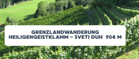 Ein Weinberg mit einem Schild, das Grenzlandwanderung Heiligengeistklamm - Sveti Duh 904 M besagt. Das Gebiet ist von saftigem grünem Gras und Bäumen umgeben.