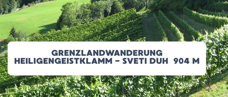 Ein Weinberg mit einem Schild, das Grenzlandwanderung Heiligengeistklamm - Sveti Duh 904 M besagt. Das Gebiet ist von saftigem grünem Gras und Bäumen umgeben.