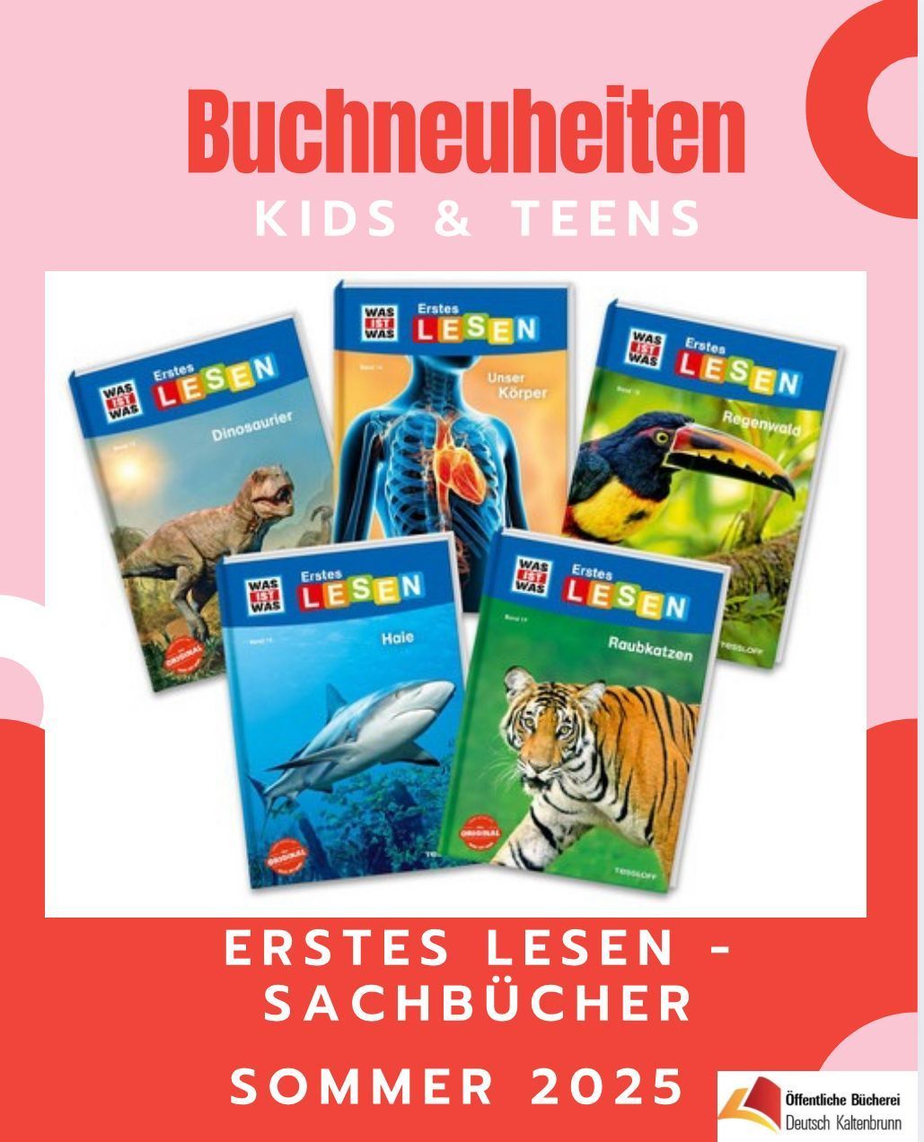 Das Bild zeigt eine Sammlung von sechs Lehrbüchern für Kinder und Jugendliche, die 'Was War Was' heißen. Jedes Buchcover hat ein anderes Thema, darunter Dinosaurier, menschliche Anatomie, Tukan, Haie, Tiger und Waschbären. Die Bücher sind bunt und auf junge Leser ausgerichtet, die gerade lesen lernen.
