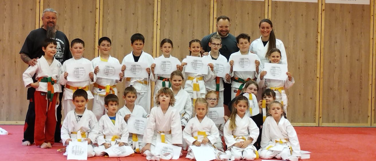 Bild enthält, People, Person, Karate, Martial Arts, Adult, Male, Man, Boy, Child, Judo