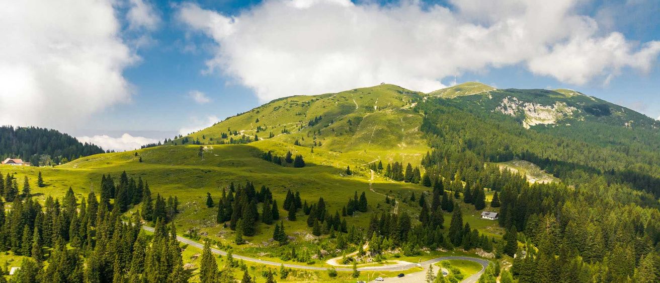 Bild enthält, Tree, Vegetation, Land, Nature, Outdoors, Woodland, Fir, Road, Building, Scenery