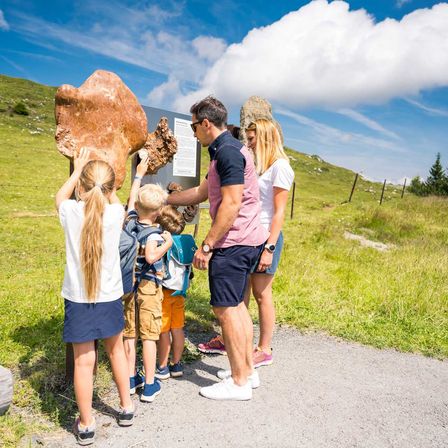 Bild enthält, People, Person, Adult, Male, Man, Child, Female, Girl, Shorts, Wristwatch