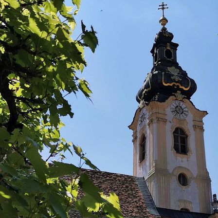 v1_migrated_image_91543132