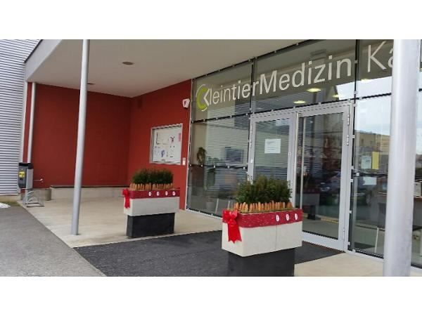 Der Eingang zur Kleintiermedizin Klinik hat eine Glastür und einen schwarzen Teppich. Zwei Topfpflanzen mit roten Schleifen sind vor dem Eingang platziert.