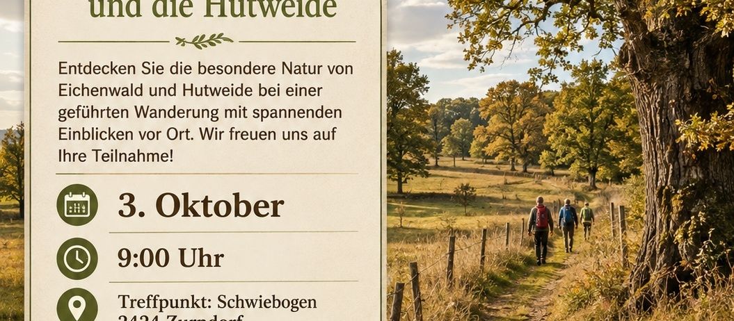 Plakat für eine geführte Wanderung durch Eichenwald und Hutweide. Die Veranstaltung ist für den 3. Oktober um 9:00 Uhr geplant. Der Treffpunkt ist Schwiebogen 2424 Zurndorf. Die Tourleiter sind Harald Schau und Georg Wagner. Eine Anmeldung ist erforderlich.