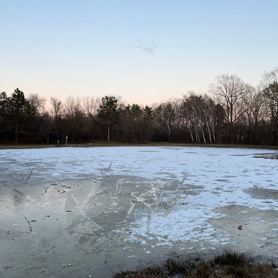 Ein zugefrorener See unter einem klaren blauen Himmel, umgeben von einem Wald kahler Bäume.