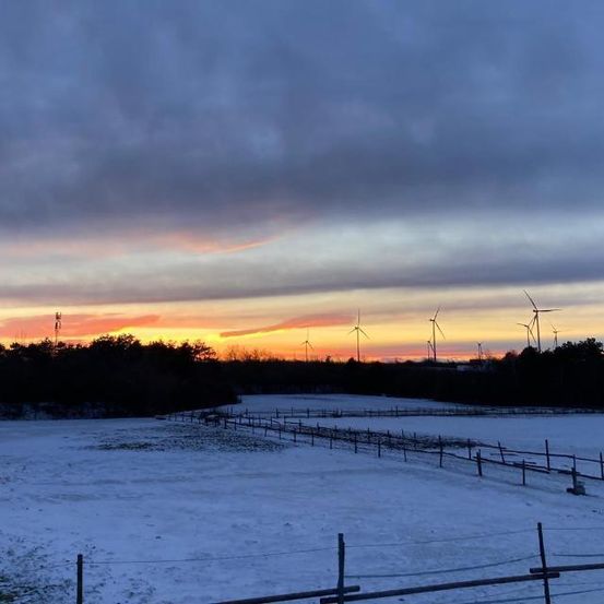 Eine verschneite Landschaft mit einem Sonnenuntergang im Hintergrund. Mehrere Windturbinen sind in der Ferne sichtbar. Der Himmel ist bewölkt, und es gibt einen Zaun im Vordergrund.