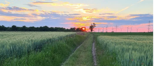 Bild enthält, Nature, Outdoors, Sky, Horizon, Grass, Plant, Windmill, Countryside, Farm, Rural