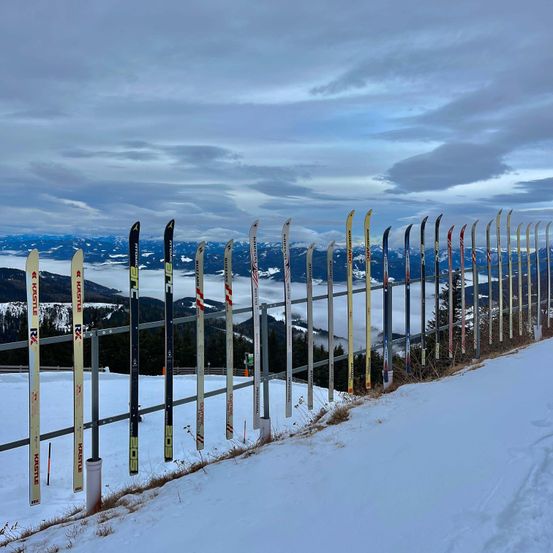 Bild enthält, Nature, Outdoors, Yard, Scenery, Picket Fence, Bridge, Sky, Building, Cityscape, Urban