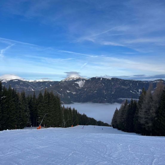 Bild enthält, Tree, Fir, Nature, Outdoors, Scenery, Slope, Conifer, Mountain Range, Ice, Pine
