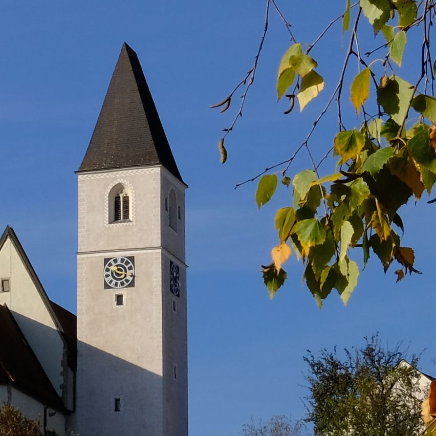 Bild enthält, Grass, Outdoors, Shelter, Tree, Countryside, Nature, Rural, Tree Trunk, Clock Tower, Grassland