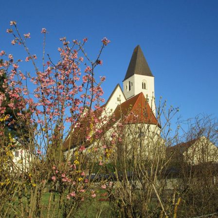 Bild enthält, Grass, Spire, Outdoors, Shelter, Tree, Vegetation, Bell Tower, Grove, Nature, Flower