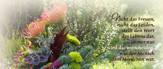 Bild enthält, Flower, Flower Arrangement, Floral Design, Jar, Potted Plant, Flower Bouquet, Herbal, Baby, Person, Tree