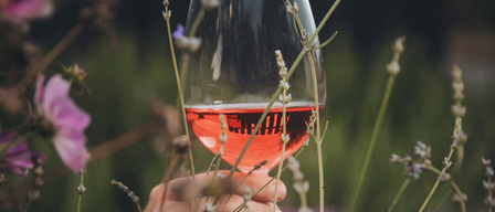 Eine Hand hält ein Weinglas mit rotem Wein inmitten eines Blumenfeldes.