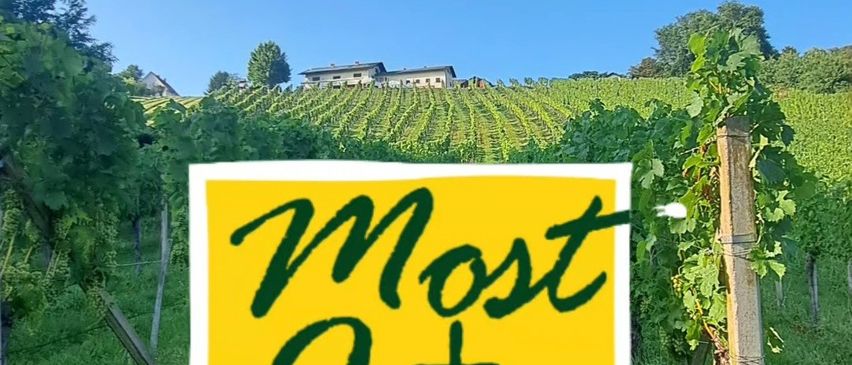 Eine Weinbergszene mit einem gelben Schild, das 'Most + Jazz' steht. Der Weinberg ist üppig mit grünem Laub. Im Hintergrund ist ein klarer blauer Himmel zu sehen. In der Ferne befindet sich ein Haus mit einem roten Dach, umgeben von Bäumen.