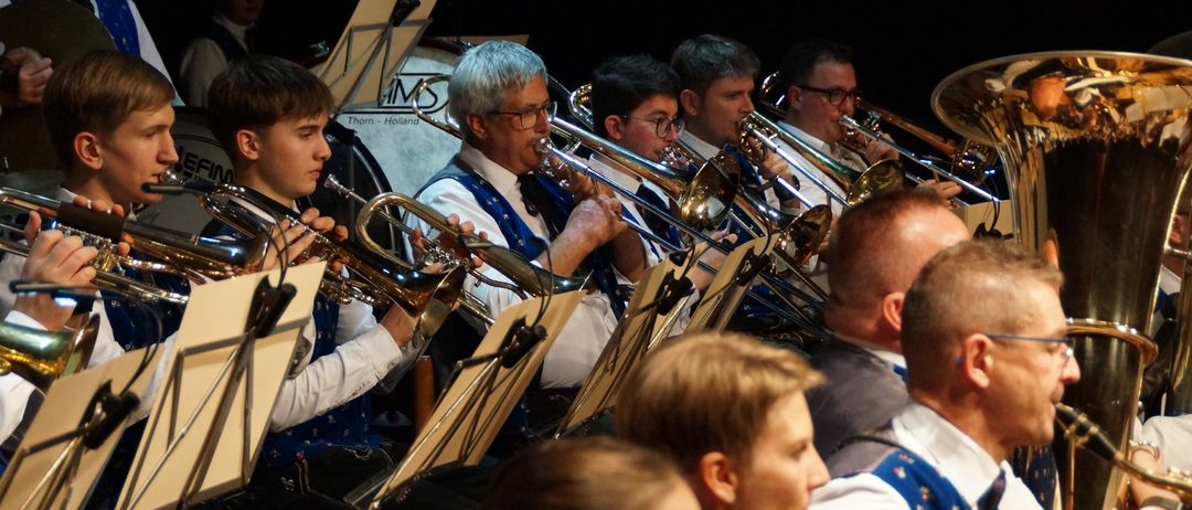 Group Performance, Music Band, Person, Adult, Male, Man, Glasses, Tuba, Boy, Child