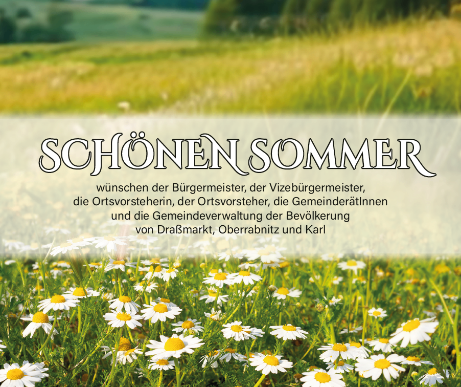 Ein Feld mit weißen Gänseblümchen und einer Nachricht darüber, die 'SCHONEN SOMMER' sagt. Die Nachricht ist vom Bürgermeister, dem stellvertretenden Bürgermeister, der örtlichen Regierung und der Gemeindeverwaltung der Bevölkerung.
