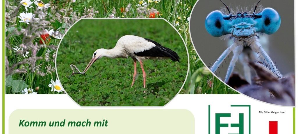 Poster with various nature elements including a stork, butterfly, and a blue dragonfly. It also features logos and text in German. The date is Saturday, September 12.