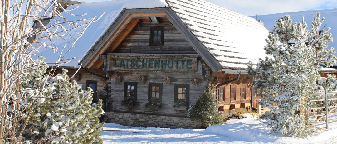 Bild enthält, Shelter, Tree, Fir, Housing, House, Cabin, Log Cabin, Nature, Hut, Ice