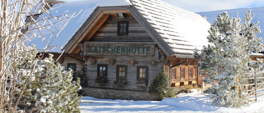 Bild enthält, Shelter, Tree, Fir, Housing, House, Cabin, Log Cabin, Nature, Hut, Ice