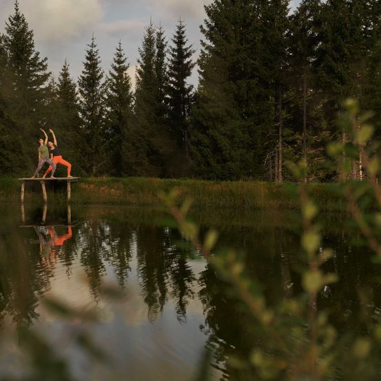 Bild enthält, Tree, Fir, Vegetation, Nature, Pond, Water, Canoeing, Land, Grove, Scenery