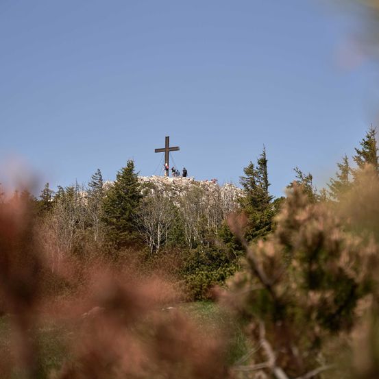 Bild enthält, Cross, Symbol, Fir, Tree, Vegetation, Person