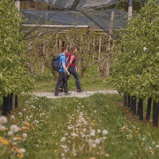 Bild enthält, Person, Walking, Garden, Nature, Outdoors, Arbour, Path, Hiking, Vegetation, Shoe