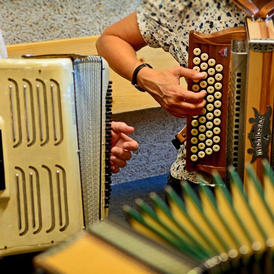 Bild enthält, Musical Instrument, Accordion, Wristwatch, Person, Adult, Female, Woman