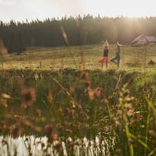 Bild enthält, Outdoors, Shelter, Land, Grass, Vegetation, Grassland, Pond, Tree, Wilderness, Landscape