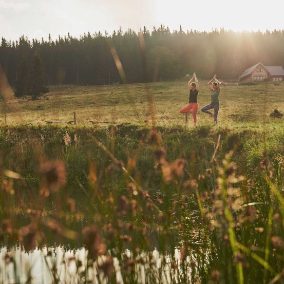 Bild enthält, Outdoors, Shelter, Land, Grass, Vegetation, Grassland, Pond, Tree, Wilderness, Landscape