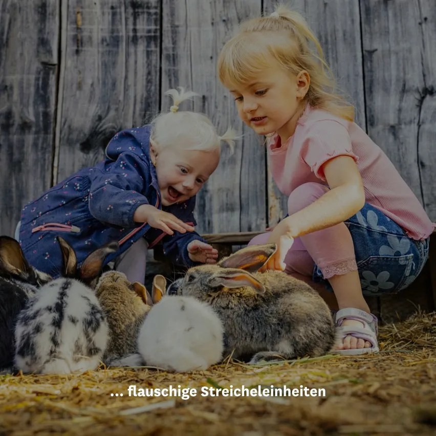 Zwei junge Mädchen knien auf dem Boden und streicheln und spielen mit mehreren Kaninchen. Das Mädchen auf der linken Seite lächelt breit, während es das Kaninchen berührt. Das Mädchen auf der rechten Seite schaut nach unten und streichelt sanft das Kaninchen.