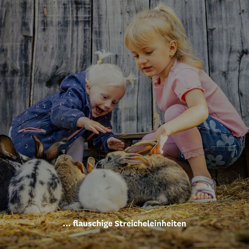 Two young girls are kneeling on the ground, petting and playing with several rabbits. The girl on the left smiles widely while touching the rabbit. The girl on the right looks down and gently strokes the rabbit.