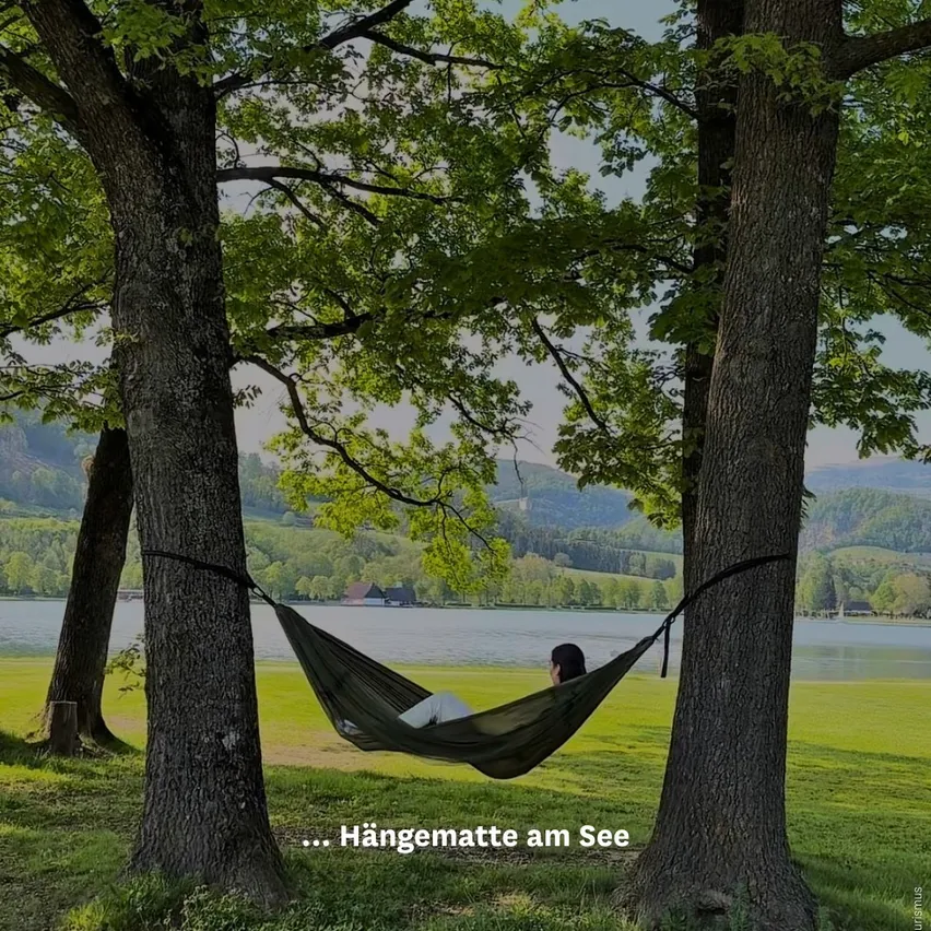 Eine Person entspannt sich in einer Hängematte zwischen zwei Bäumen am See, mit Bergen in der Ferne.