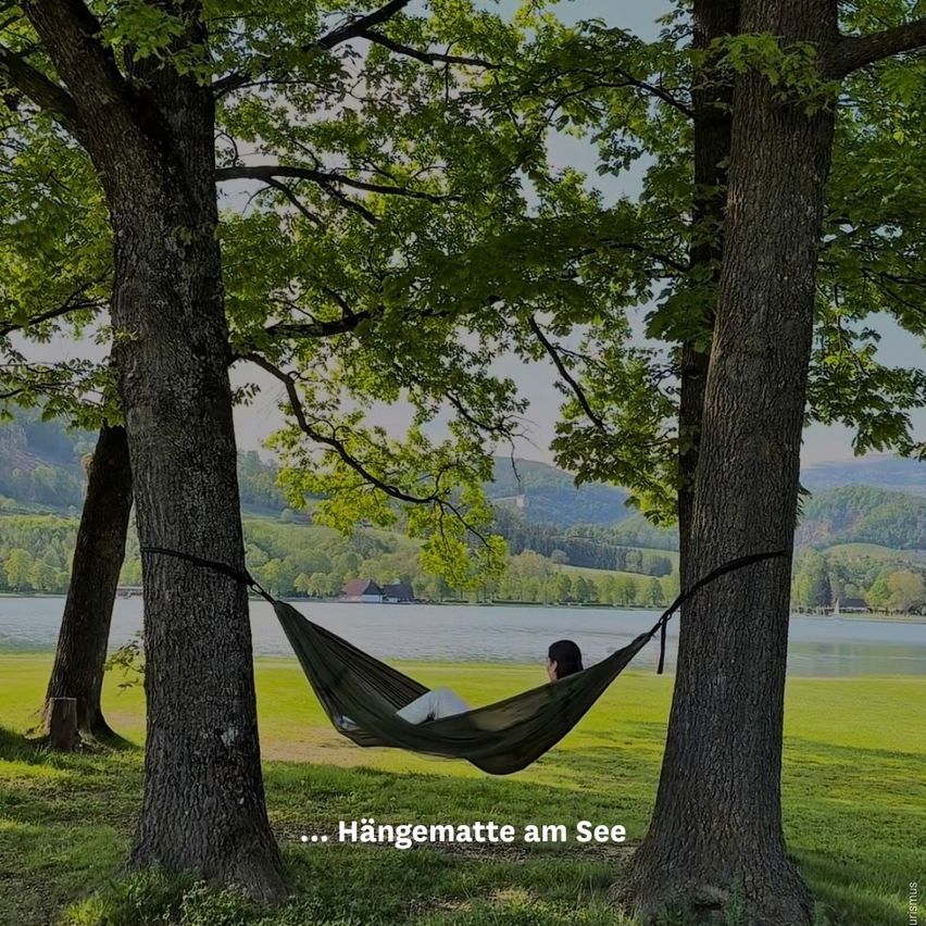 A person is relaxing in a hammock suspended between two trees by the lake, with mountains in the distance.