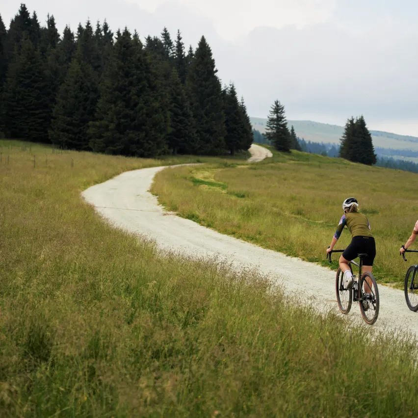Zwei Radfahrer fahren auf einem unbefestigten Weg, umgeben von hohen Bäumen und Gras in einem ländlichen Gebiet.