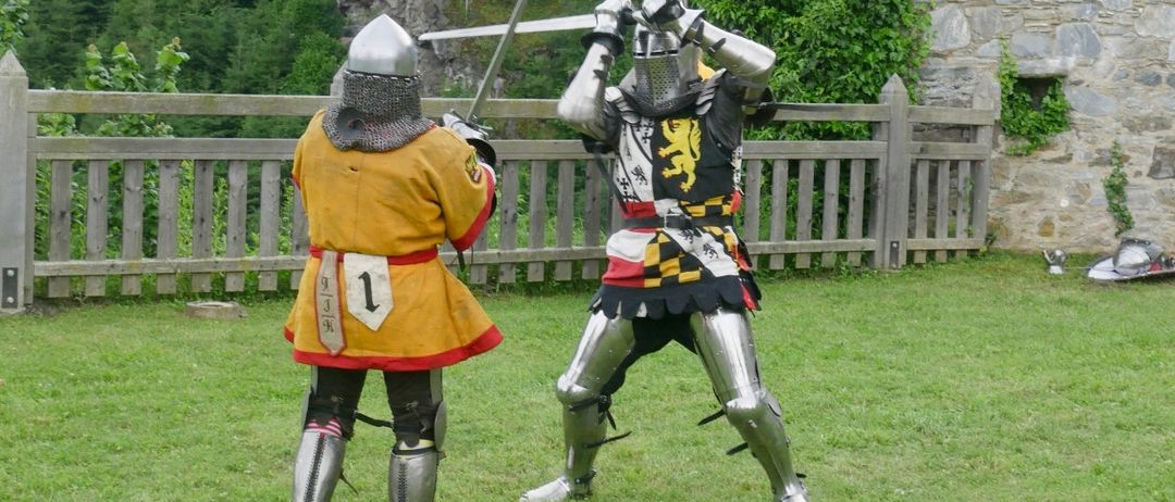 Bild enthält, Sword, Weapon, Person, Swordfight, Grass, Plant