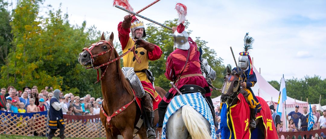 Bild enthält, People, Person, Adult, Female, Woman, Male, Man, Horse, Mammal, Equestrian