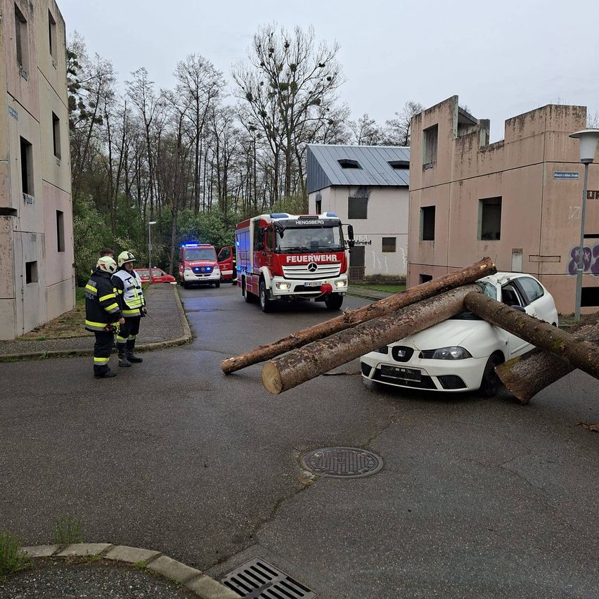 Emergency responders stand beside a car crushed by fallen trees, with fire trucks in the background. Buildings and trees are visible.