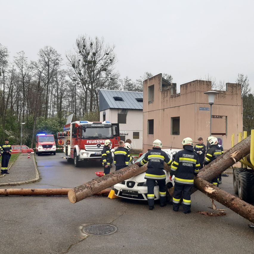 A car is crushed under a fallen tree. Firemen are working on the scene. The road is blocked by a fire engine and a crane.